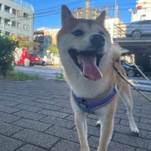 もう夏ですね🌞イメージ