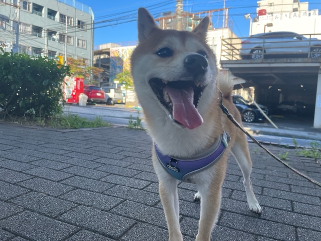 もう夏ですね🌞イメージ