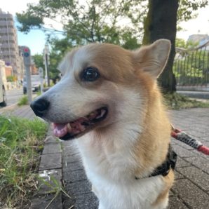 涼しい店内でみんなまったりです(*^^*)イメージ