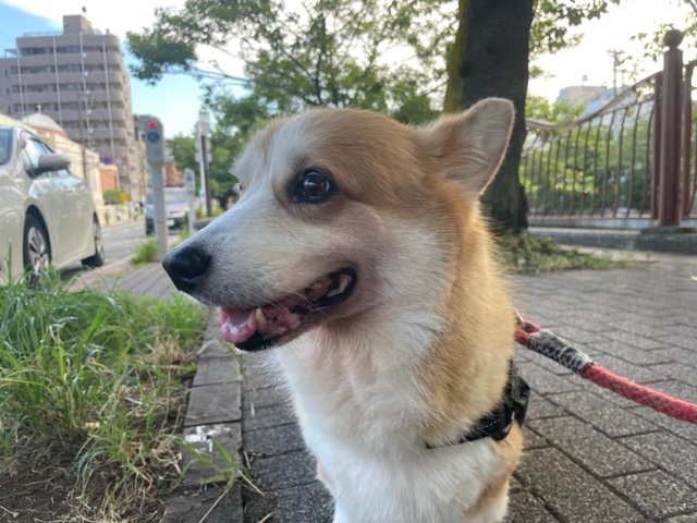 涼しい店内でみんなまったりです(*^^*)イメージ
