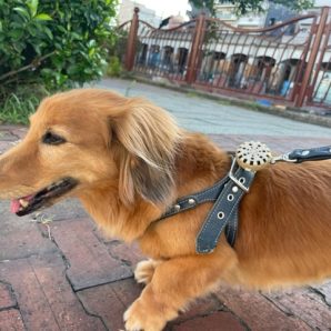 ホテルの出入りが多いです(^^♪イメージ