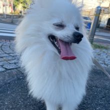 みんな元気いっぱいですヾ(≧▽≦)ﾉイメージ