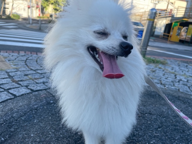 みんな元気いっぱいですヾ(≧▽≦)ﾉイメージ