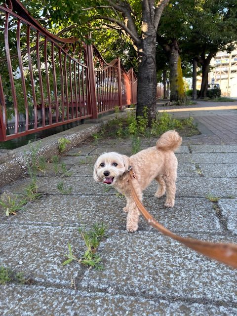 7月ももうすぐ終了です！イメージ