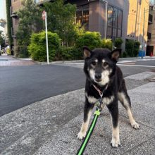涼しい風が吹いて気持ちの良い1日でした(*´▽｀*)イメージ