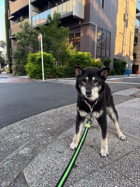 涼しい風が吹いて気持ちの良い1日でした(*´▽｀*)イメージ