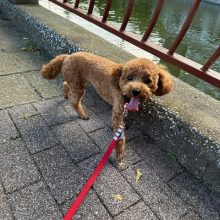 今日も暑い一日です！！イメージ