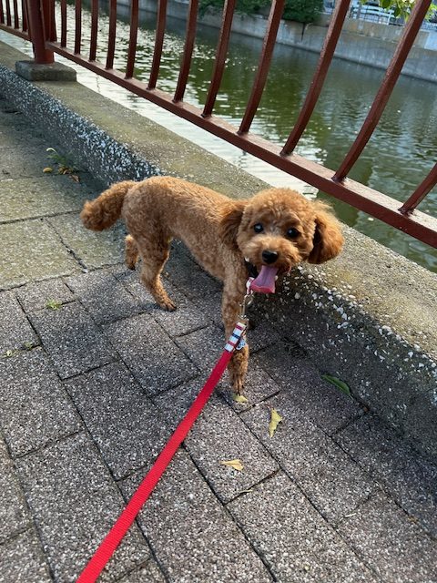 今日も暑い一日です！！イメージ