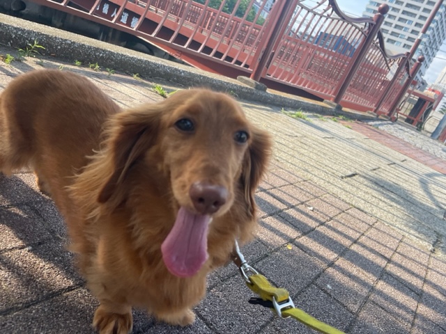 のんびりとした1日でした(*´▽｀*)イメージ