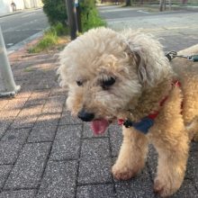 みんなのんびりと過ごしていました～！イメージ