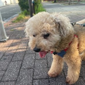 みんなのんびりと過ごしていました～！イメージ