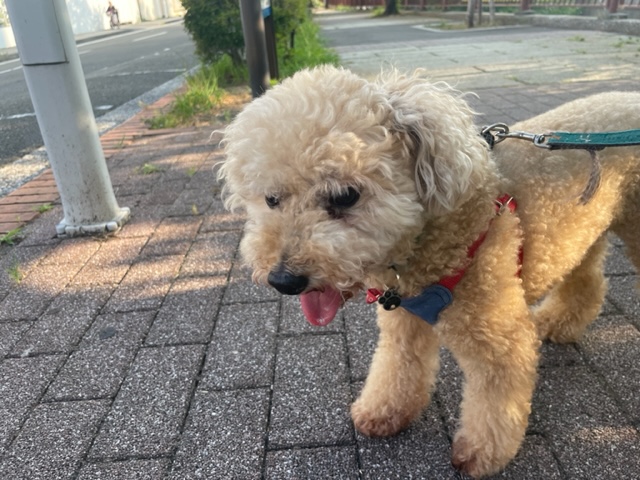 みんなのんびりと過ごしていました～！イメージ