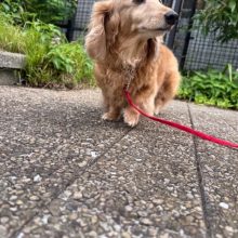 今日も快晴です(*´▽｀*)イメージ