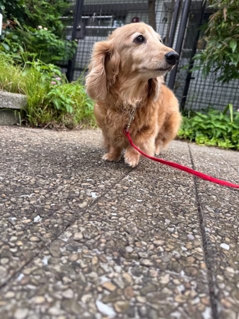 今日も快晴です(*´▽｀*)イメージ