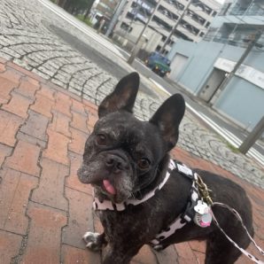 涼しい一日でした(*´▽｀*)イメージ