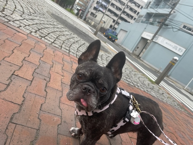 涼しい一日でした(*´▽｀*)イメージ