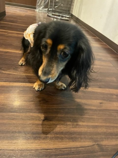 過ごしやすい気温です(*^^)vイメージ