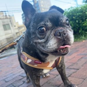 とても暑い一日でした(>_<)イメージ