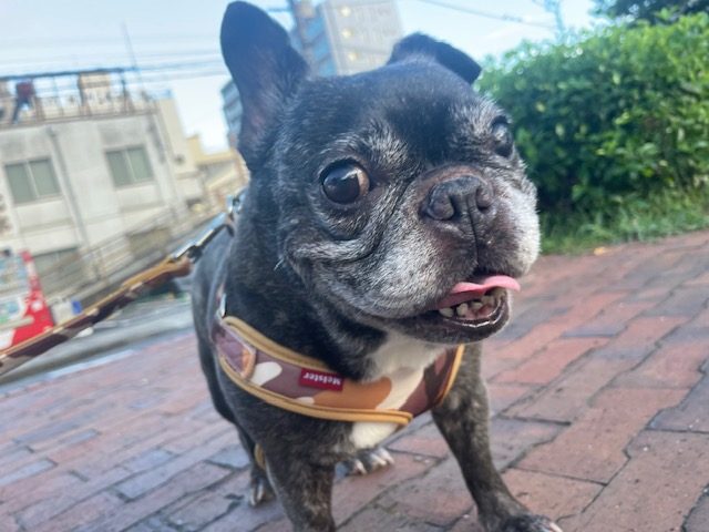 とても暑い一日でした(>_<)イメージ