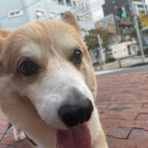 ホテル組は今日も元気いっぱいです！イメージ