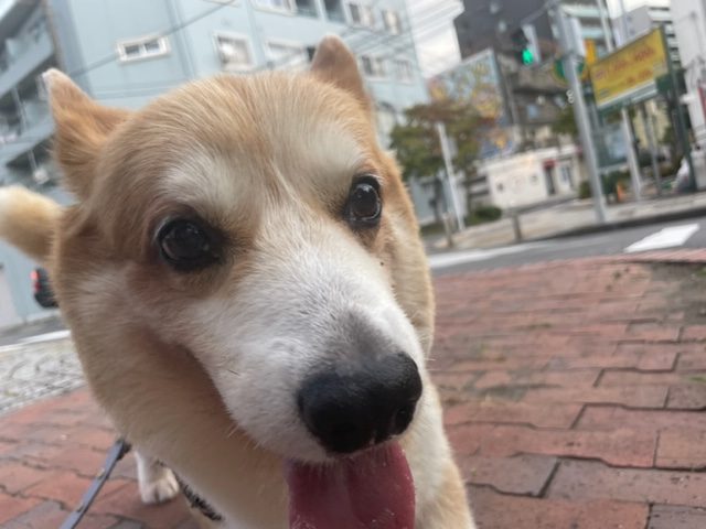 ホテル組は今日も元気いっぱいです！イメージ