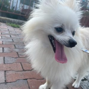 みんなのんびりと過ごしていました(*´▽｀*)イメージ
