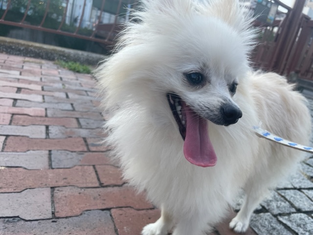 みんなのんびりと過ごしていました(*´▽｀*)イメージ
