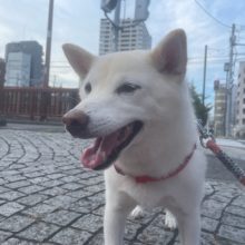 朝からお散歩へ行けました！イメージ