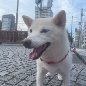 朝からお散歩へ行けました！イメージ