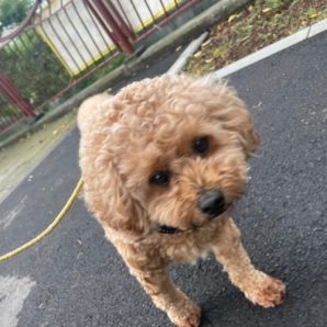 今日も1日雨模様でした～(´;ω;｀)イメージ