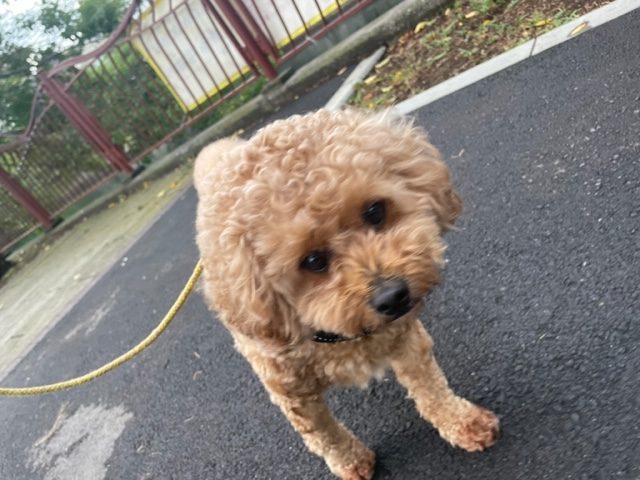 今日も1日雨模様でした～(´;ω;｀)イメージ