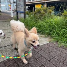 オープン前は日差しも弱く、風も吹いていて涼しい朝でした！イメージ
