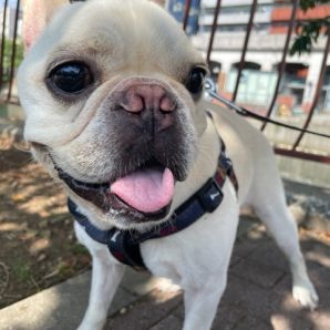今日はいいお天気でした！イメージ