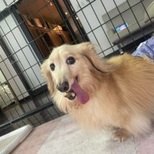 ホテルも一気に静かになりました(´・ω・`)イメージ