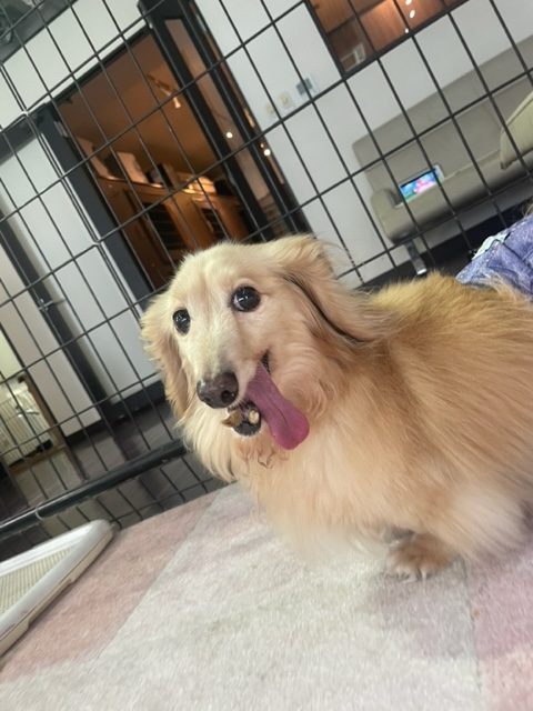 ホテルも一気に静かになりました(´・ω・`)イメージ