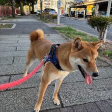 気づけば8月も後半ですね☼イメージ
