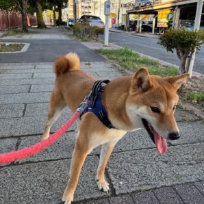 気づけば8月も後半ですね☼イメージ