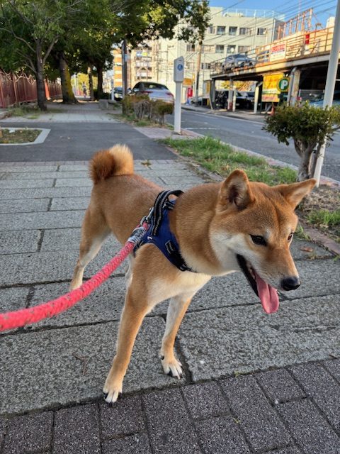 気づけば8月も後半ですね☼イメージ