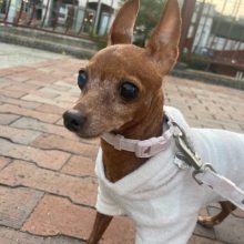 みんな元気いっぱいです(*^^)vイメージ