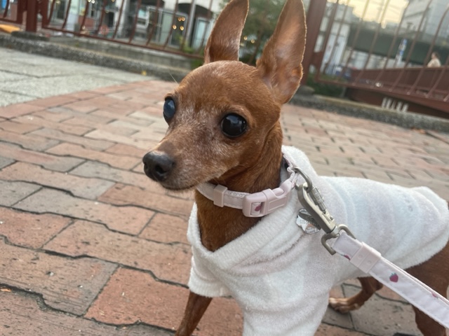 みんな元気いっぱいです(*^^)vイメージ