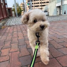 涼しい店内でのんびり過ごしました～～イメージ