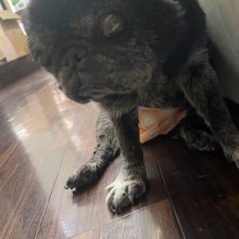 とてもいいお天気でした!(^^)!イメージ