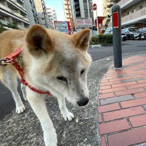 明日から9月です！イメージ