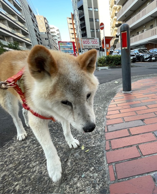 明日から9月です！イメージ