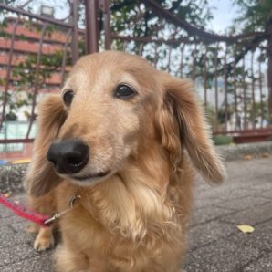 過ごしやすい気温でした～！イメージ