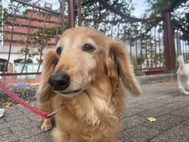 過ごしやすい気温でした～！イメージ