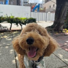 夕方はすずしいです！イメージ