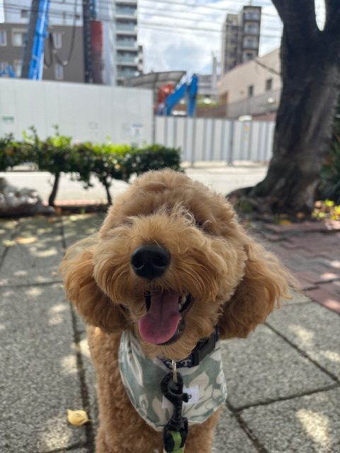 夕方はすずしいです！イメージ