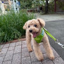 涼しい1日でした～～イメージ