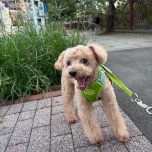 涼しい1日でした～～イメージ